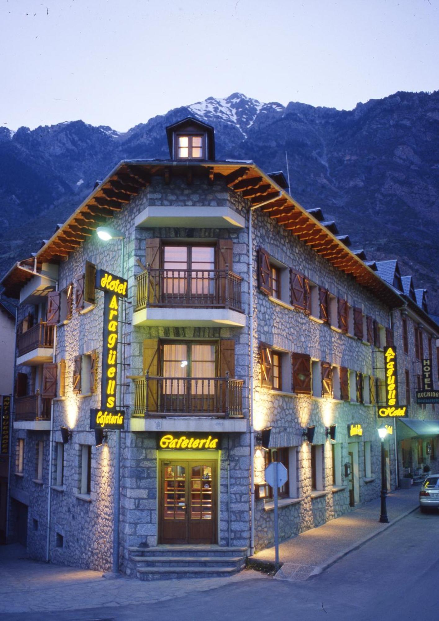 Hotel Aragueells Benasque Extérieur photo